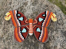 Haakpatroon Atlas vlinder