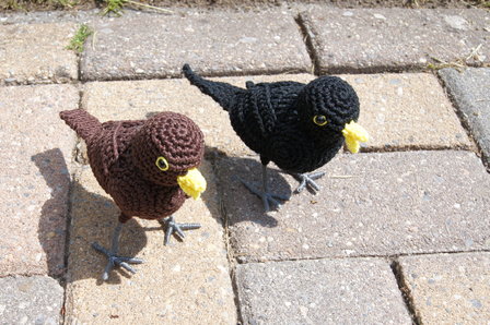 crochetpattern black bird