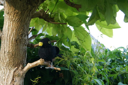 crochetpattern black bird