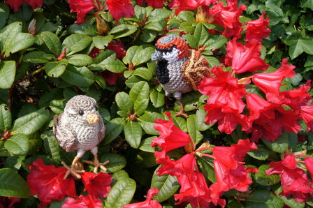 crochetpattern house Sparrow