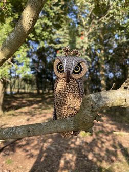 crochetpattern the Long-eared owl