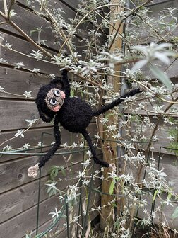 haakpatroon kleine aap