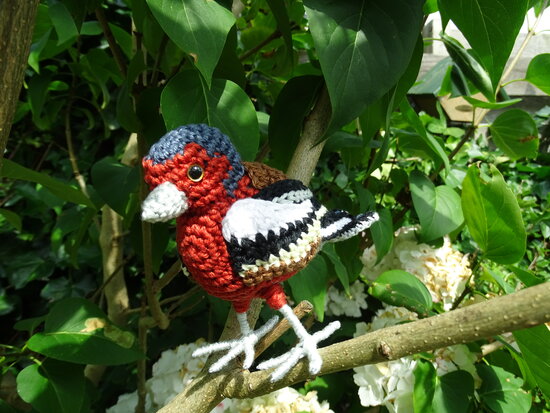 crochet pattern Finch