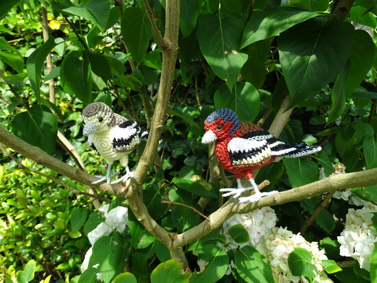 crochet pattern Finch