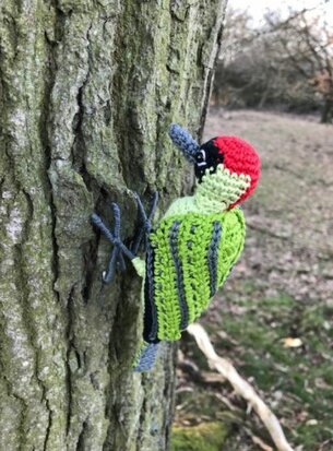 crochet pattern green woodpecker