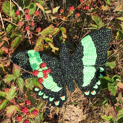 Crochetpattern green butterfly, Papilio palinurus butterfly