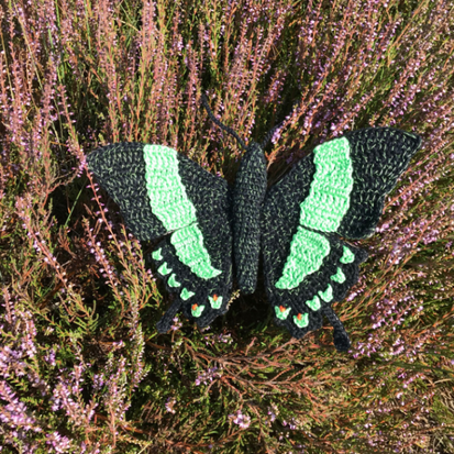 Crochetpattern green butterfly, Papilio palinurus butterfly