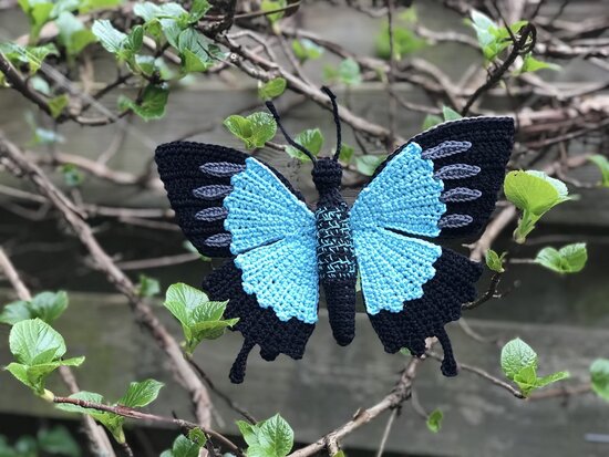 haakpatroon papilio ulysses butterfly