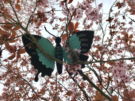 haakpatroon de blauwe tropische vlinder, Papilio ulysses