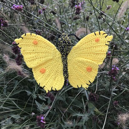 crochet pattern Brimstone Butterfly