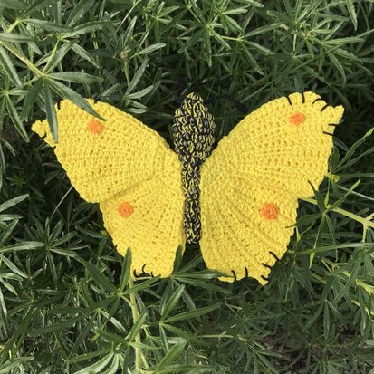 crochet pattern Brimstone Butterfly