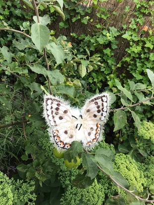 crochet pattern chalkhill blue butterfly