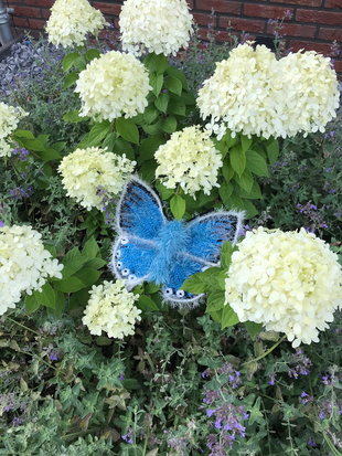 crochet pattern chalkhill blue butterfly