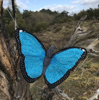 haakpatroon morpho vlinder