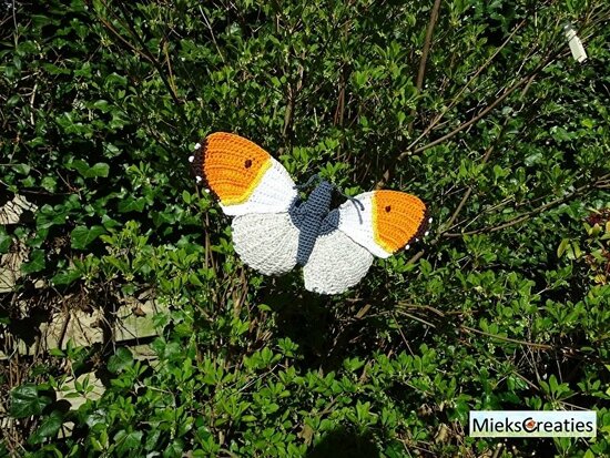 Crochet pattern the orange tip butterfly