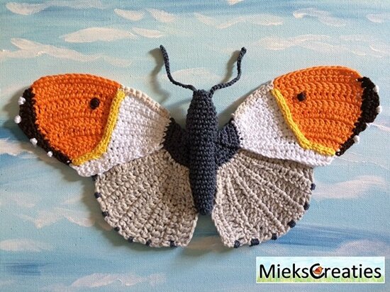 Crochet pattern the orange tip butterfly