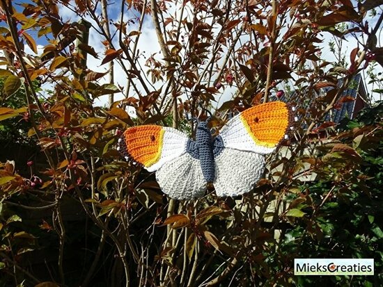 Crochet pattern the orange tip butterfly