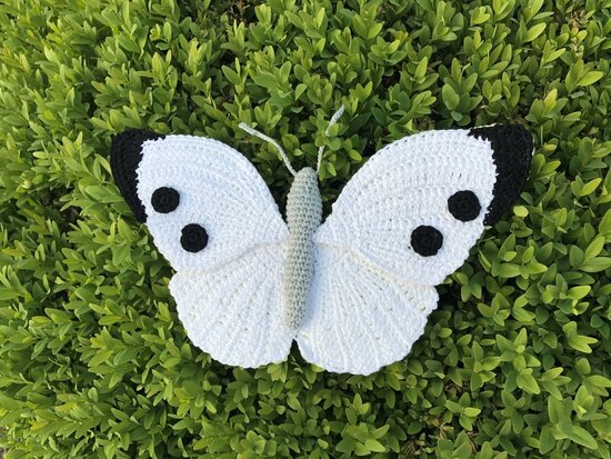 crochet pattern cabbage white butterfly