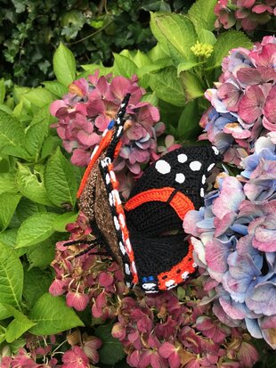 crochet pattern the red admiral