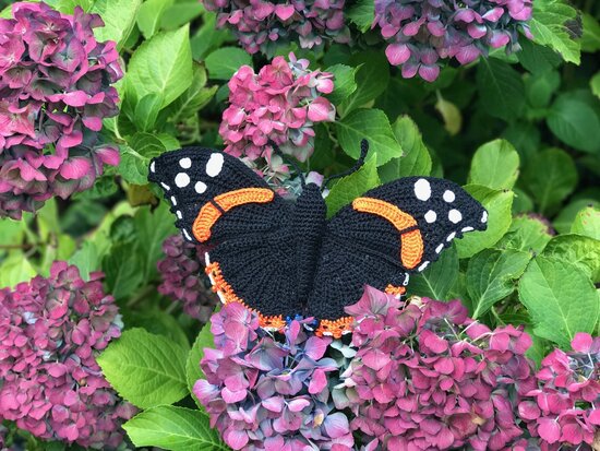 Haakpatroon atalanta vlinder