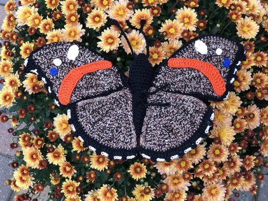 Haakpatroon atalanta vlinder