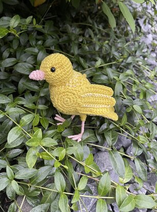 crochet pattern canary bird