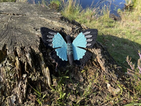 haakpatroon de blauwe tropische vlinder, Papilio ulysses