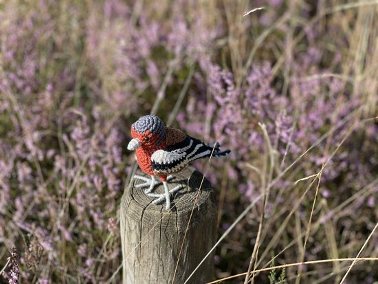 haakpatroon de vink