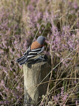 haakpatroon de vink