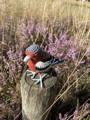 crochet pattern Finch