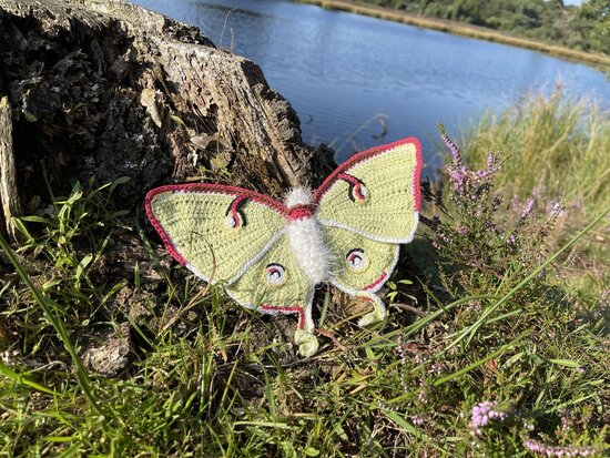 Crochetpattern Luna Moth 