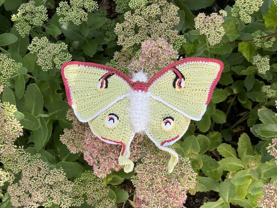 Crochetpattern Luna Moth 