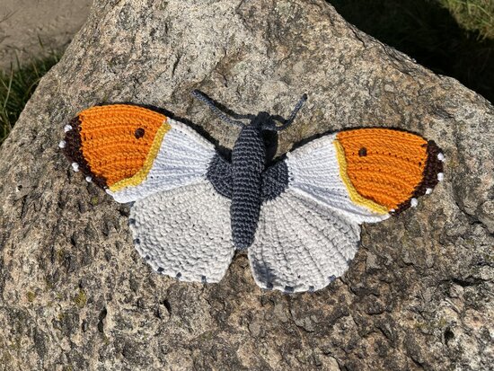 Crochet pattern the orange tip butterfly