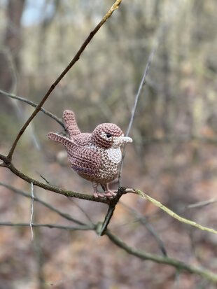 Crochetpattern of the Wren