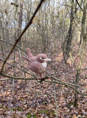 Crochetpattern of the Wren