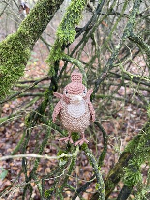 Crochetpattern of the Wren