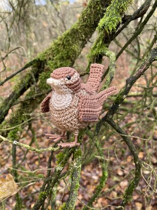 Crochetpattern of the Wren