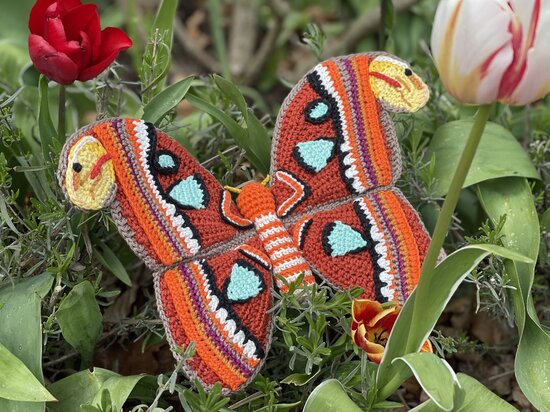 Crochetpattern Atlas  Moth 