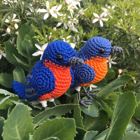 crochetpattern eastern bluebird