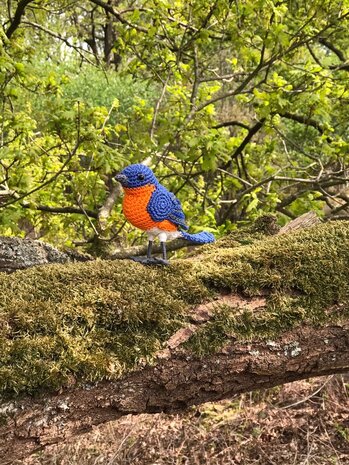 crochetpattern eastern bluebird