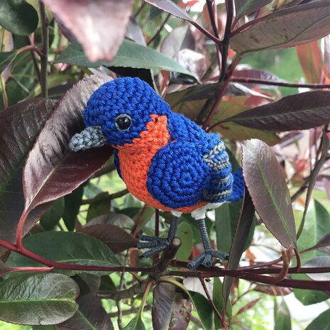 crochetpattern eastern bluebird