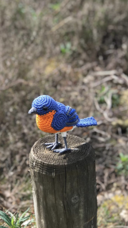 crochetpattern eastern bluebird