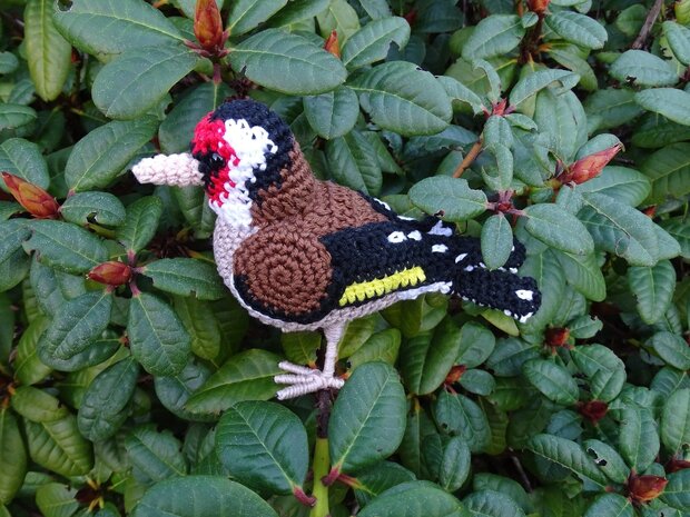 crochet pattern the goldfinch