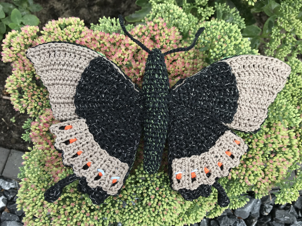 Crochetpattern green butterfly, Papilio palinurus butterfly