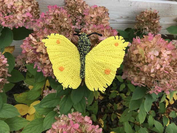 crochet pattern Brimstone Butterfly