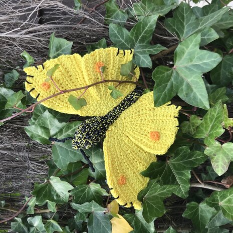 crochet pattern Brimstone Butterfly