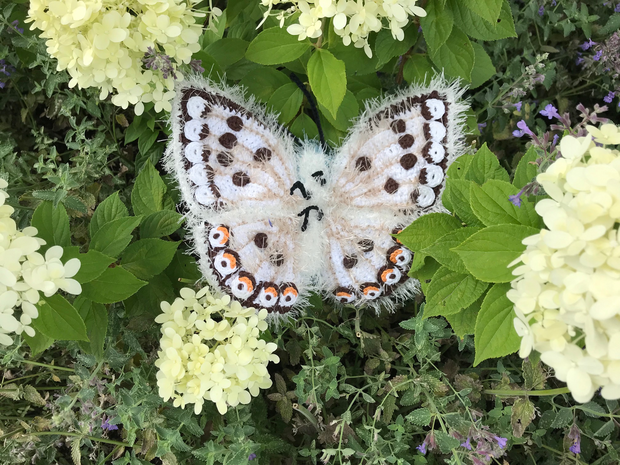 crochet pattern chalkhill blue butterfly