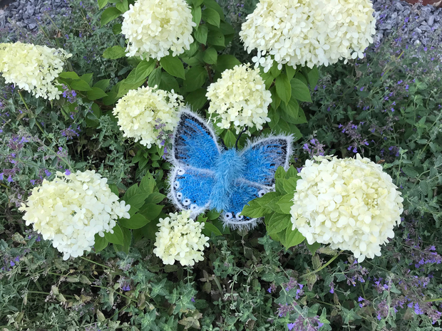 crochet pattern chalkhill blue butterfly