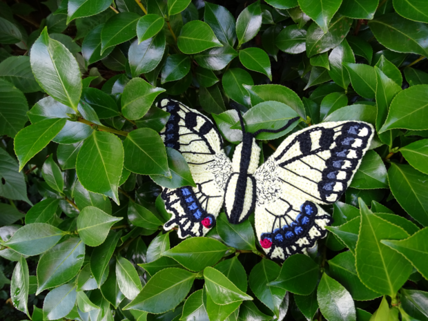 crochetpattern Papilio machaon