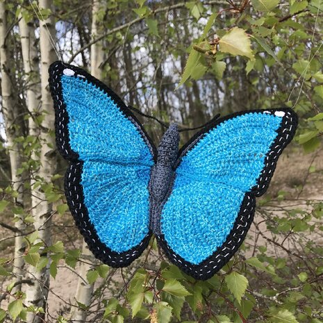 haakpatroon morpho vlinder